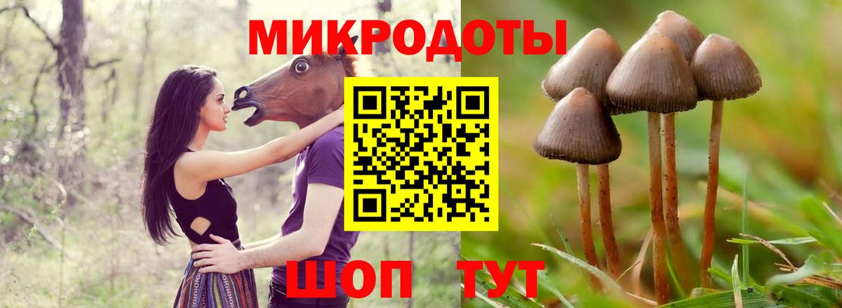 Псилоцибиновые грибы Psilocybe  Галлюциногенные грибы мицелий  Вход с VPN  Похвистнево 